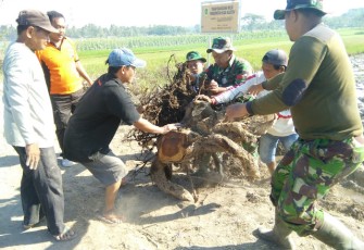 Kiprah TNI Polri dan Warga Pada TMMD Reg 105 Kodim Klaten