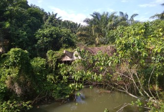 Kondisi Jembatan Bongkor 