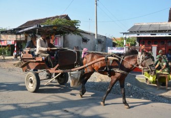 Dokar masih menjadi favorit warga Desa Jatimulya untuk Transportasi Angkutan Barang