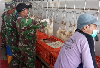Lakukan Komsos Sembari Menimba Ilmu Usaha Pemotongan Ayam