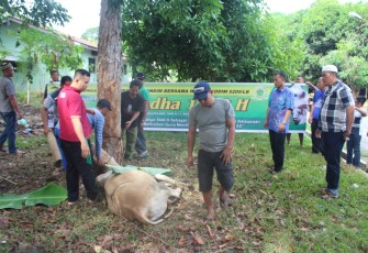 Penyembelihan hewan qurban