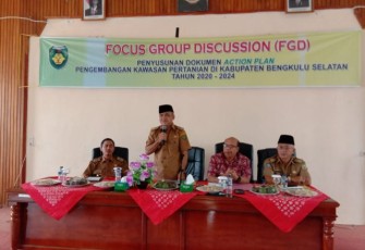 Assisten II Sekretariat Daerah Bengkulu Selatan Novman Ahmad Ali 