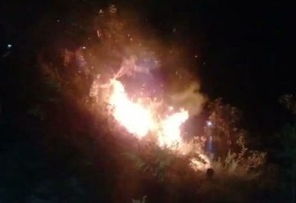 Kebakaran hutan di Aceh Selatan