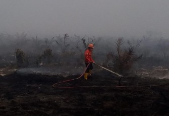BPBD Asahan Laporkan 20-30 Ha Lahan Gambut Terbakar Di Sei Kepayang