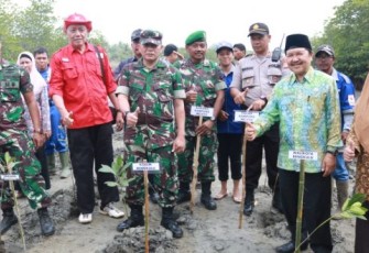 Staf Ahli Bidang Hukum dan Politik Hilman Fuadi Tanam Mangrove