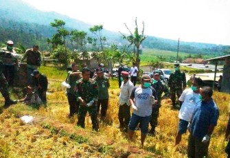 Bati Tuud Koramil 11 Kodim 0713 Brebes Sarankan Gunakan Rodentisida Sesuai Takaran