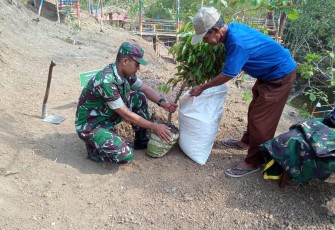 Satgas TMMD Siapkan Bibit Durian untuk Ditanam Itdam IV Diponegoro
