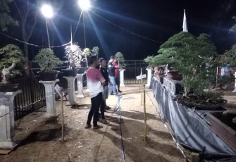 Situasi pameran bonsai KBP di malam hari