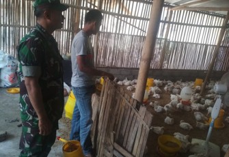 Peternak Ayam Manisrenggo Di Datangi Babinsa  