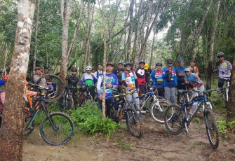 Gowes 