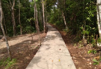 Jalan Usaha Tani Desa Dusun Curup Kecamatan Air Besi Kabupaten Bengkulu Utara 