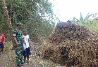 Babinsa Ngandong Bersama Warga Bersihkan Pohon Tumbang Di Jalan 