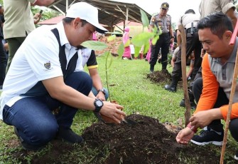 Wakil Wali Kota Bengkulu Dedy Wahyudi Ikut Tanam Pohon