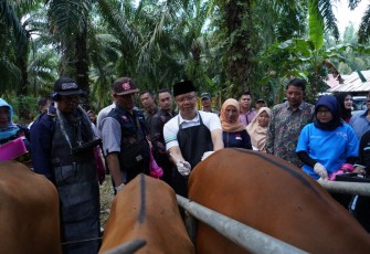 Gubernur Rohidin Turun Langsung Beri Penyuluhan Masyarakat Mukomuko Tangani Kesehatan Hewan