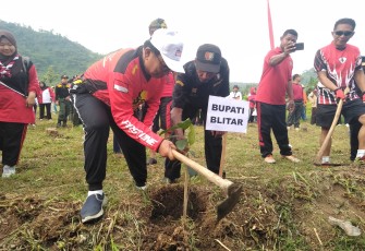 Bupati Blitar Rijanto saat menanam pohon 