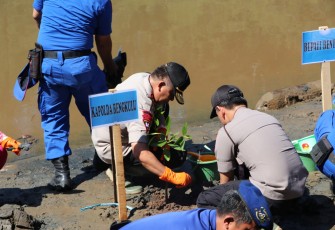 Kapolda Bengkulu Irjen Pol Drs Supratman MH saat tanam mangrove