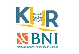 KUR BNI