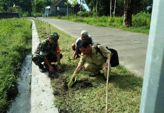 Bunga Refugia Ditanam di Sepanjang Jalan Desa