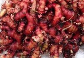 jahe merah