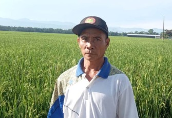 Sutiro (56)