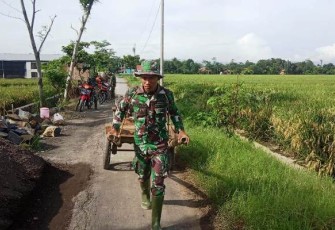 Gerobak Kayu Saksi Bisu Pembangunan Infrastruktur di Pantirejo Pekalongan
