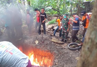Pemusnahan binatang dengan cara dibakar