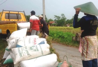 Warga Tak Susah Bawa Pulang Hasil Panenan