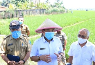 Wakil wali Kota Bengkulu Dedy Wahyudi  