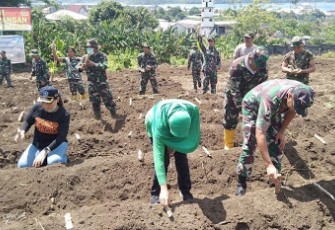 Kodim 1310/Bitung Ciptakan Demplot Hanpangan