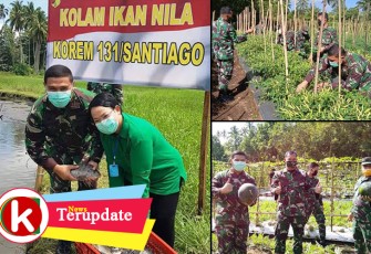 Danrem 131/Santiago Panen Perdana Demplot Hanpangan Kodim 1310/Bitung