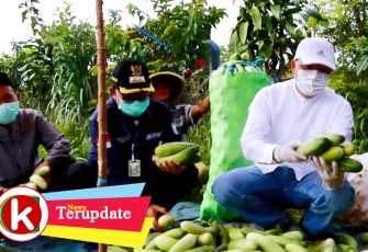 Gubernur Rohidin Borong 6,4 Ton Sayuran di Kepahiang