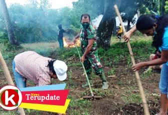 Babinsa Bantu Buka Lahan Kebun
