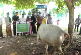 Pemko Serahkan 50 Ekor Hewan Qurban untuk Masjid dan Surau se-Tanjungpinang