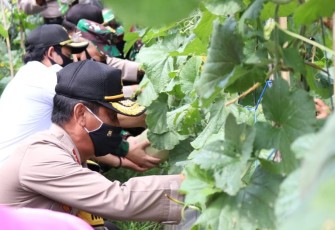 Kapolda Bengkulu Lakukan Panen Raya di Kampung Tangguh Binaan Bhabinkamtibmas Polsek Kampung Melayu