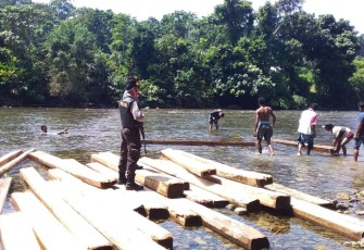 150 Batang Balok Kayu di Sungai Napalan Diamankan Polres Seluma Polda Bengkulu