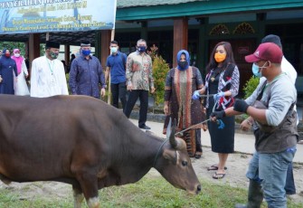 Korem 143/HO Salurkan Kurban ke 7 Desa