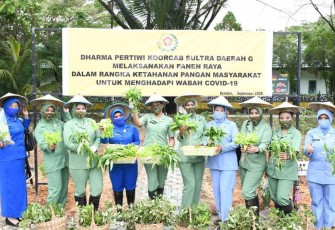 Dharma Pertiwi Koorcab Sultra Daerah G Lakukan Panen Sayuran