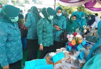 Lomba Hatinya PKK Tingkat Provinsi Sumsel