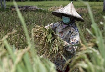 Sumber Foto CNN Indonesia 
