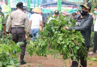 Wakil Wali Kota Bengkulu Dedy Wahyudi  