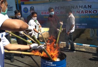 Pemusnahan Barang Bukti Ganja 