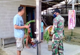 Satgas Pamtas Yonif 407/Padmakusuma Pos Sei Mawang I berbagi sayuran hasil berkebun dari Pos Sei Mawang I kepada masyarakat disekitar Desa Sungai Mawang Kecamatan Puring Kencana Kabupaten Kapuas Hulu Kalbar (16/12/20)