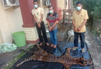 TIga Terduga Pelaku Diamankan 