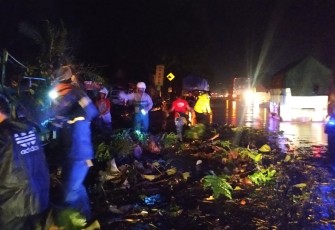 Dua mobil Tertimpa Pohon Jati Yang Tumbang di Jalan Raya Desa Penundan 