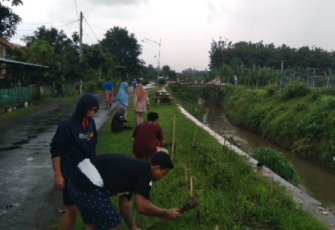 JPA tanam pohon di pinggir tanggul sungai 