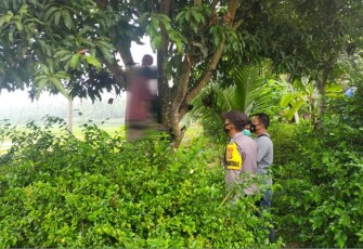 Korban Ditemukan Tewas Gantung Diri 