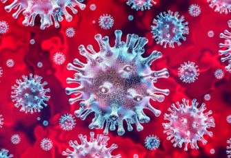 Potret Ilustrasi Virus Corona (Ist) 