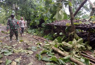 Piket Koramil 10/Wuryantoro Kodim 0728/Wng Sertu Rukimin mendatangi lokasi pohon tumbang