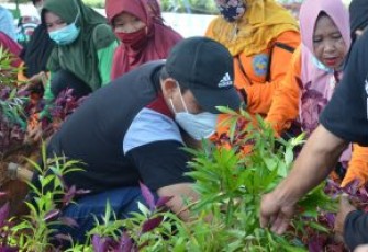  Wakil Walikota Bengkulu Dedy Wahyudi Saat Menanam Bunga di Jaln S. Parman Kota Bengkulu