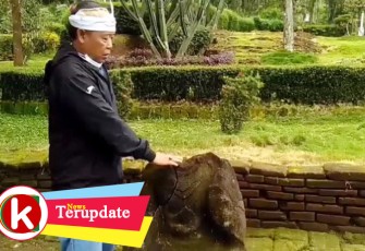 EKSPEDISI HANTANG JILID 5